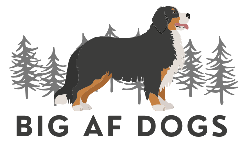 BIG AF DOGS Logo